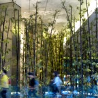 Singapur 2011 - 8.jpg