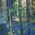 Singapur 2011 - 10.jpg