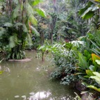 Singapur 2011 - 38.jpg