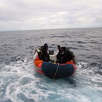 Galapagos 2012 - 27.jpg