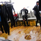 Galapagos 2012 - 19.jpg