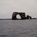 Galapagos 2012 - 14.jpg