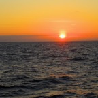 Galapagos 2012 - 21.jpg