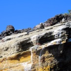 Galapagos 2012 - 36.jpg