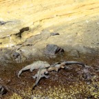 Galapagos 2012 - 38.jpg