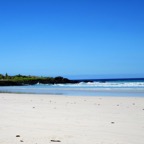 Galapagos 2012 - 69.jpg