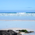 Galapagos 2012 - 72.jpg