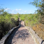 Galapagos 2012 - 73.jpg