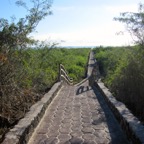 Galapagos 2012 - 74.jpg