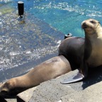 Galapagos 2012 - 90.jpg