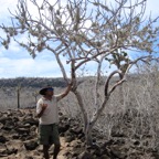 Galapagos 2012 - 102.jpg