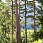 Baiersbronn - 14.jpg