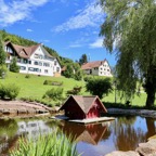 Baiersbronn - 31.jpg