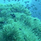 Koh Tao - 27.jpg
