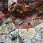 Koh Tao - 106.jpg