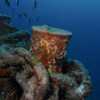 Koh Tao - 114.jpg