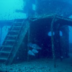 Koh Tao - 117.jpg