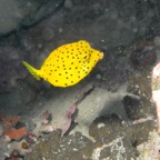 Koh Tao - 119.jpg