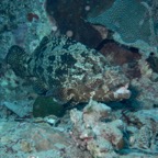 Koh Tao - 122.jpg