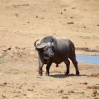 Südafrika - 72.jpg