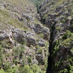 Südafrika - 126.jpg