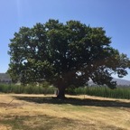 Südafrika - 223.jpg