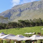 Südafrika - 438.jpg