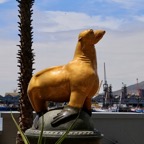 Südafrika - 459.jpg