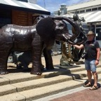 Südafrika - 480.jpg