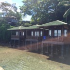 Lembeh Strait - 365.jpg