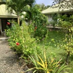 Cebu_DH - 31.jpg