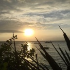Cebu_DH - 79.jpg