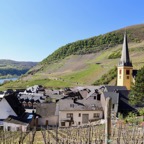 Mosel - 6.jpg