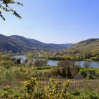 Mosel - 9.jpg