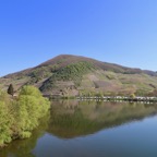 Mosel - 11.jpg