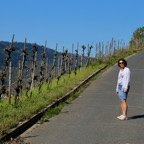 Mosel - 12.jpg