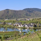 Mosel - 13.jpg