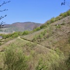 Mosel - 45.jpg