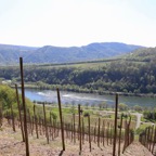 Mosel - 46.jpg