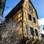 Elsass-2019 - 12.jpeg