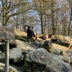 Osterburken - 15.jpeg