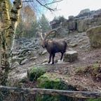 Osterburken - 17.jpeg