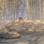 Osterburken - 26.jpeg