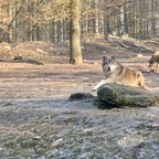 Osterburken - 27.jpeg