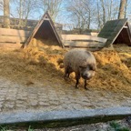 Osterburken - 29.jpeg